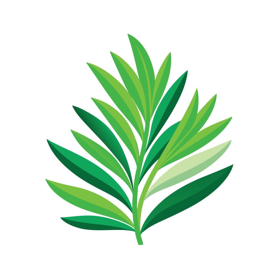 Realistic Beautiful Leaves Illustration vector