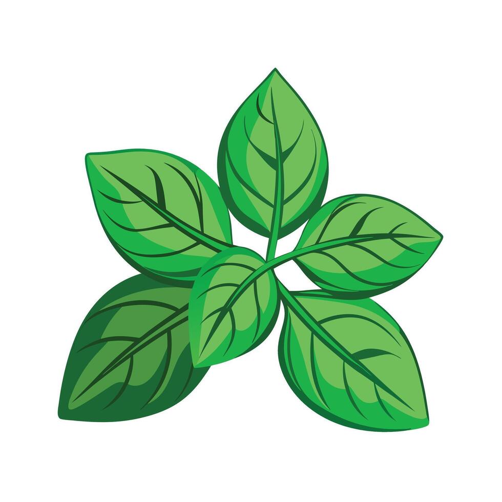 Realistic Beautiful Leaves Illustration vector