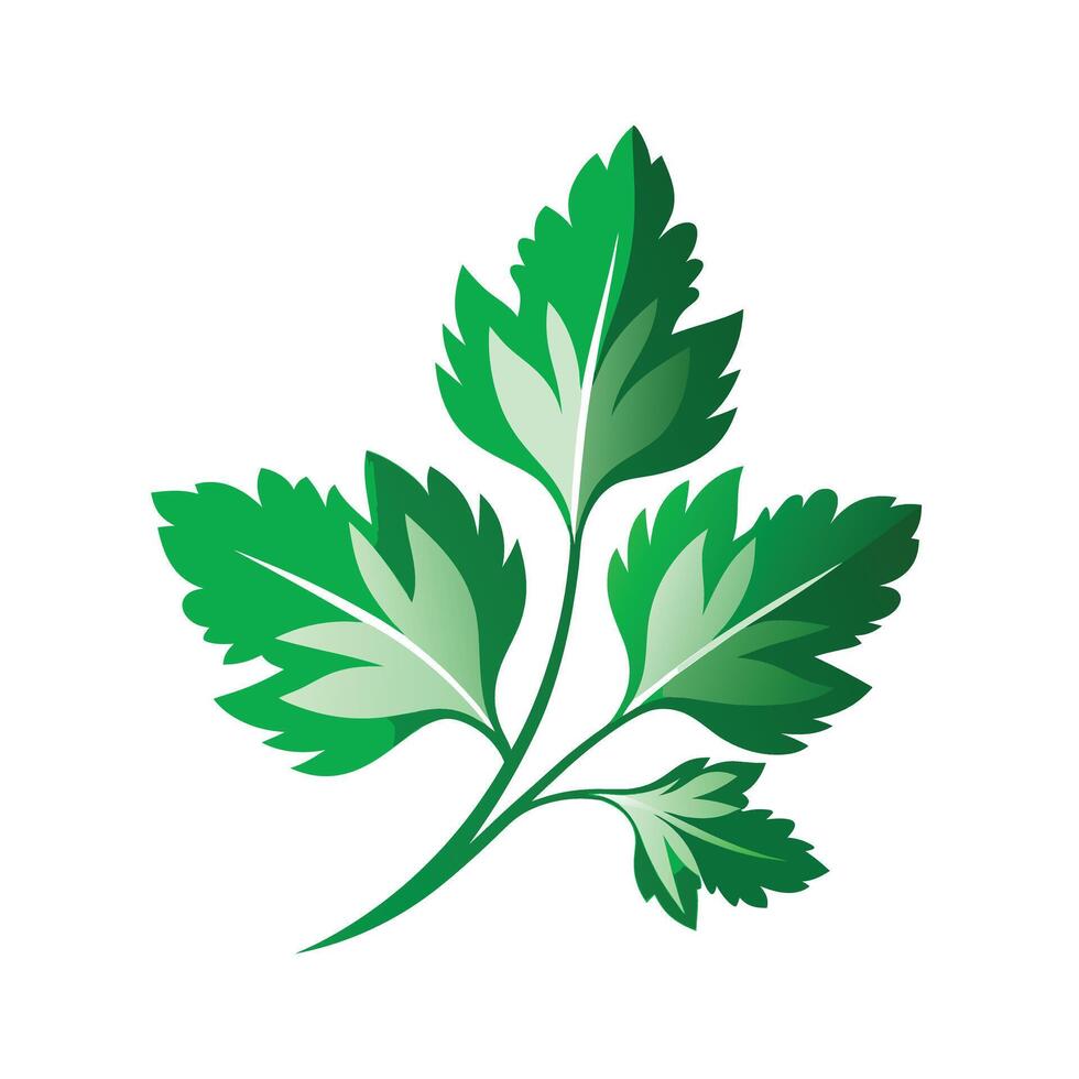 Realistic Beautiful Leaves Illustration vector
