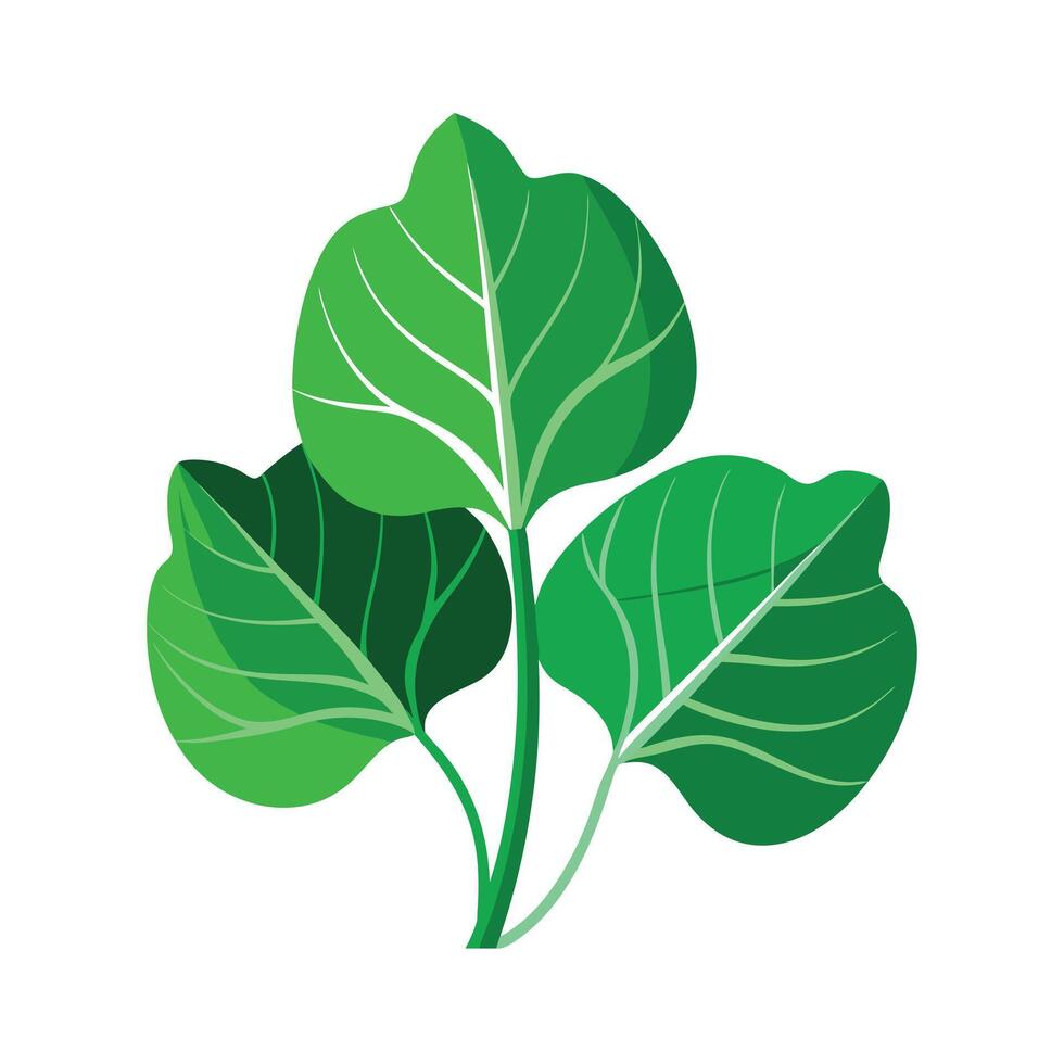 Realistic Beautiful Leaves Illustration vector