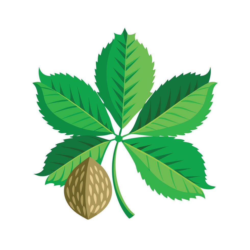 Realistic Beautiful Leaves Illustration vector