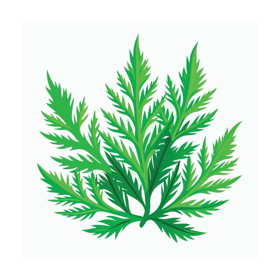 Realistic Beautiful Leaves Illustration vector