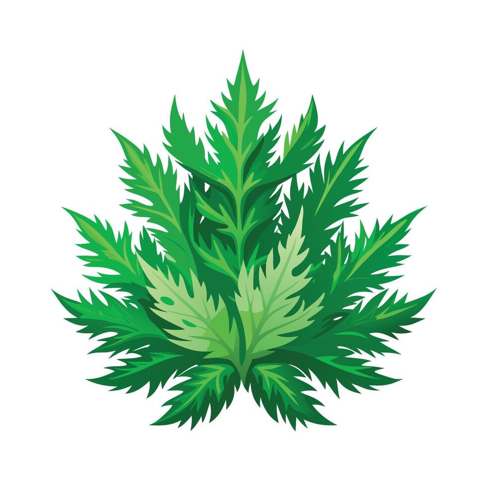 Realistic Beautiful Leaves Illustration vector
