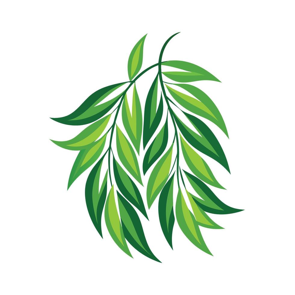 Realistic Beautiful Leaves Illustration vector