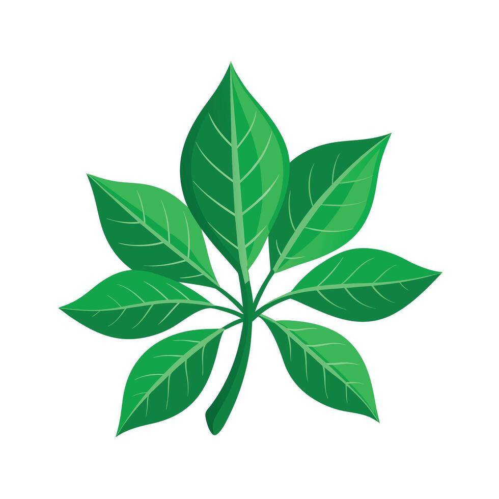 Realistic Beautiful Leaves Illustration vector