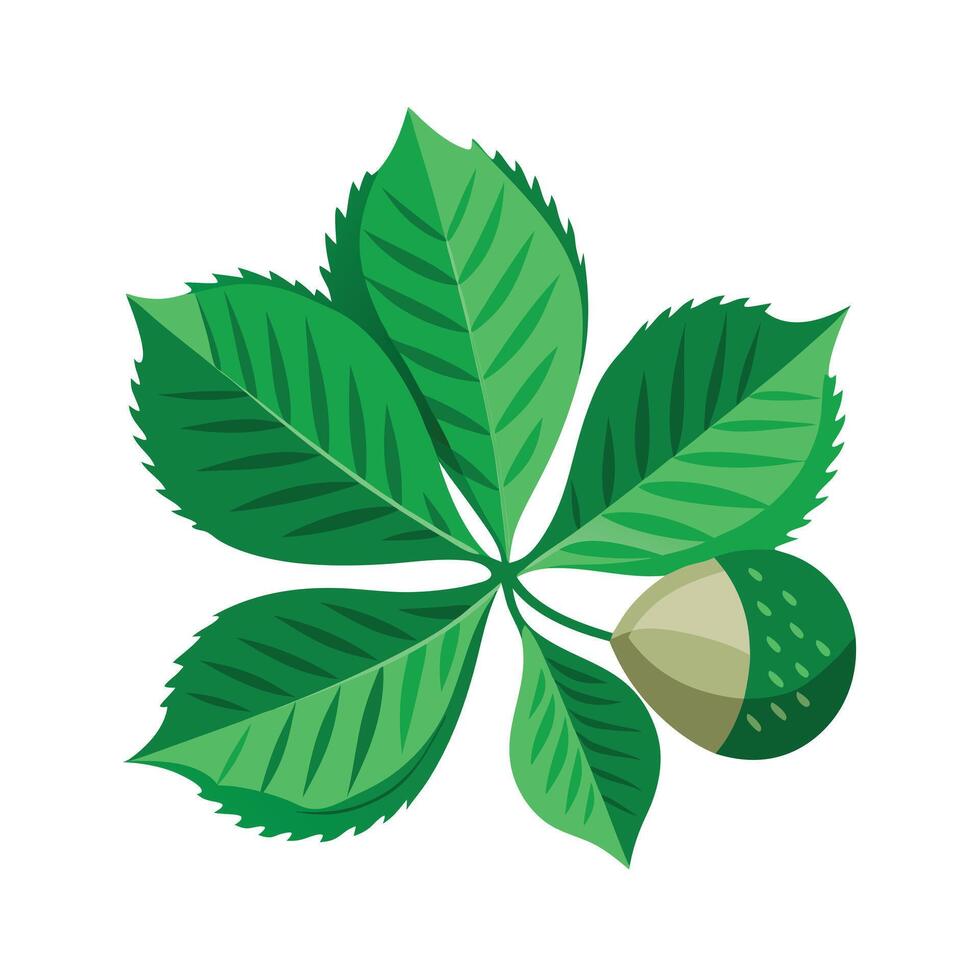 Realistic Beautiful Leaves Illustration vector