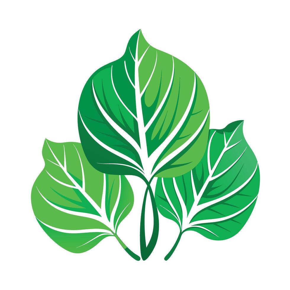 Realistic Beautiful Leaves Illustration vector