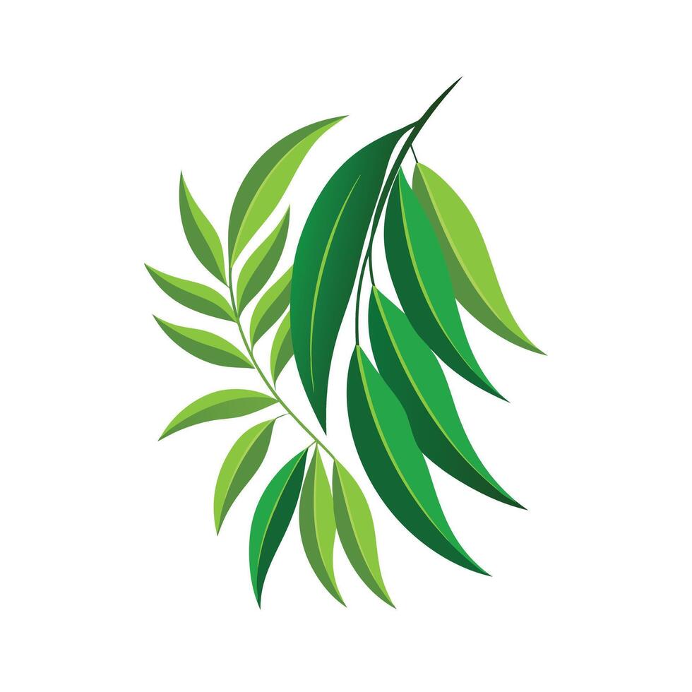 Realistic Beautiful Leaves Illustration vector
