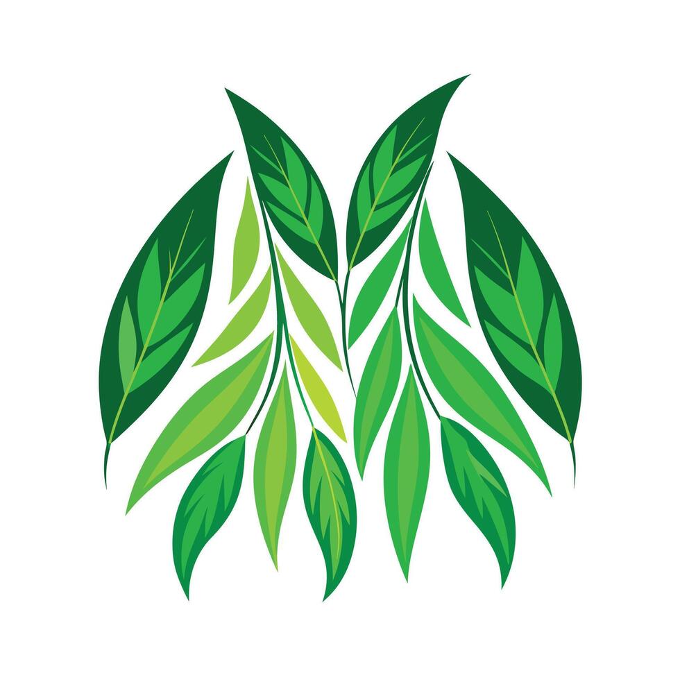 Realistic Beautiful Leaves Illustration vector