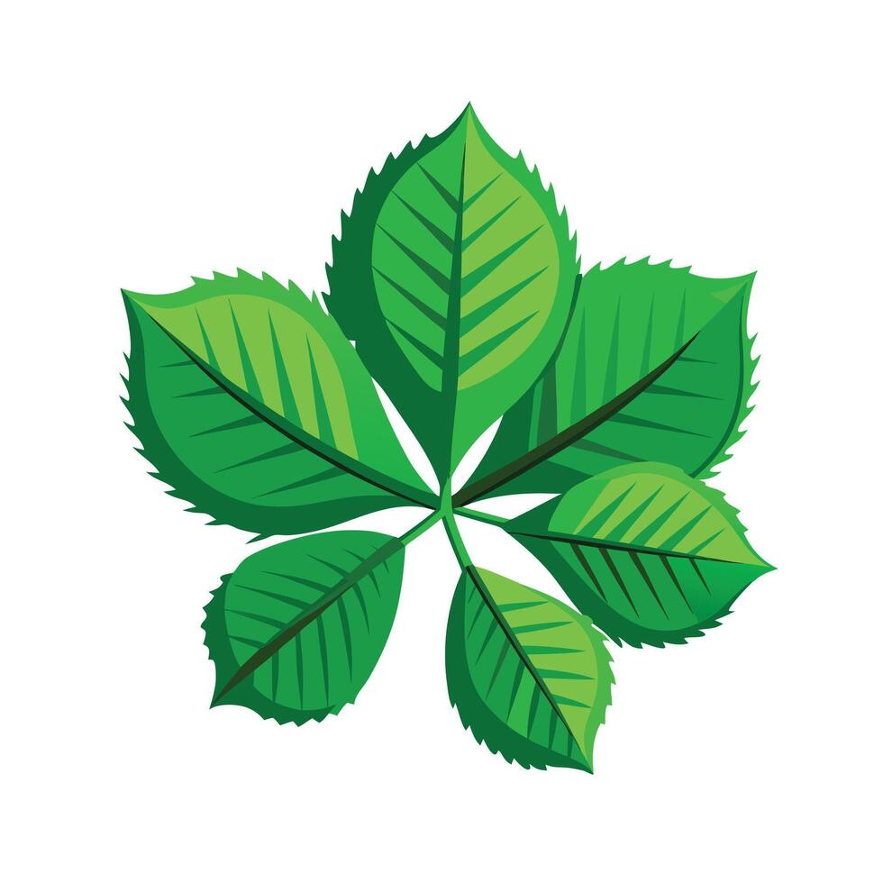 Realistic Beautiful Leaves Illustration vector