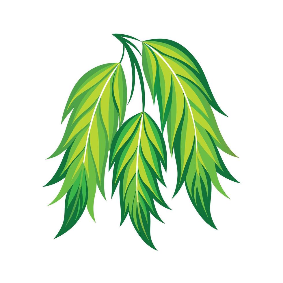 Realistic Beautiful Leaves Illustration vector