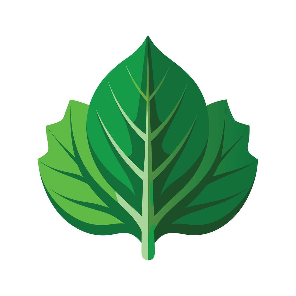Realistic Beautiful Leaves Illustration vector