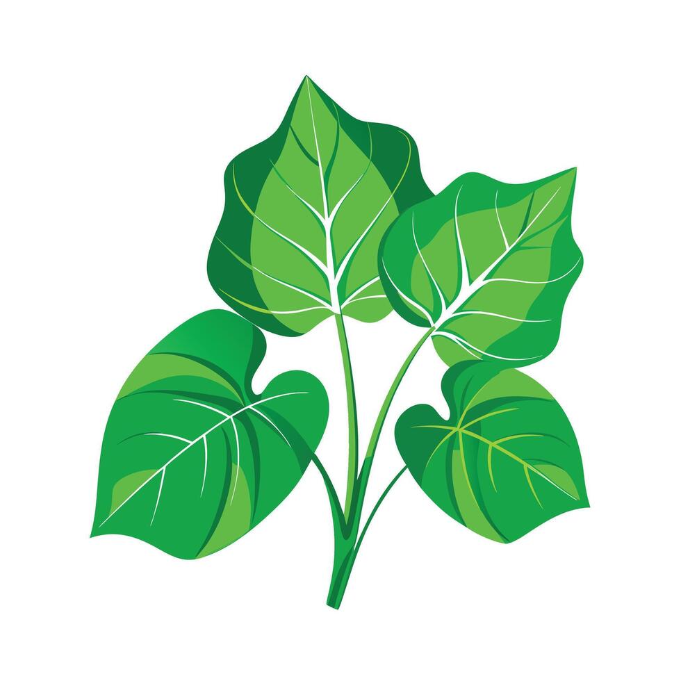 Realistic Beautiful Leaves Illustration vector
