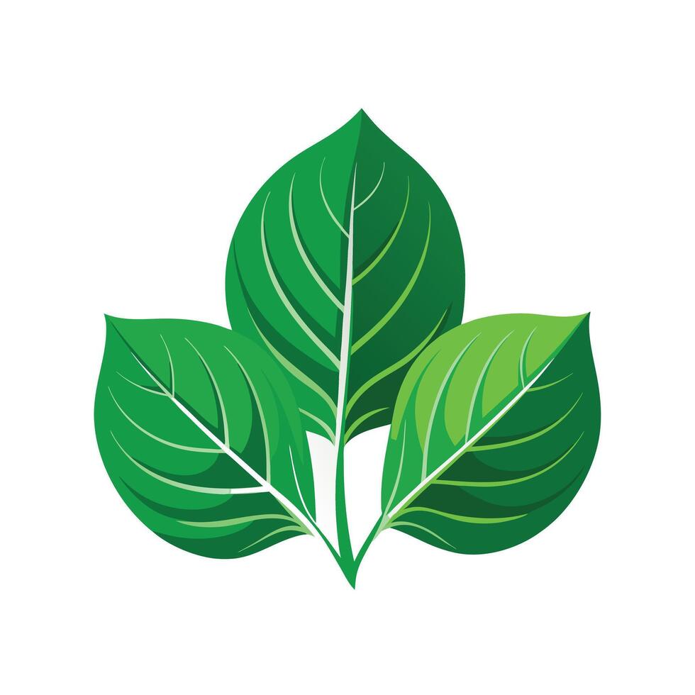 Realistic Beautiful Leaves Illustration vector