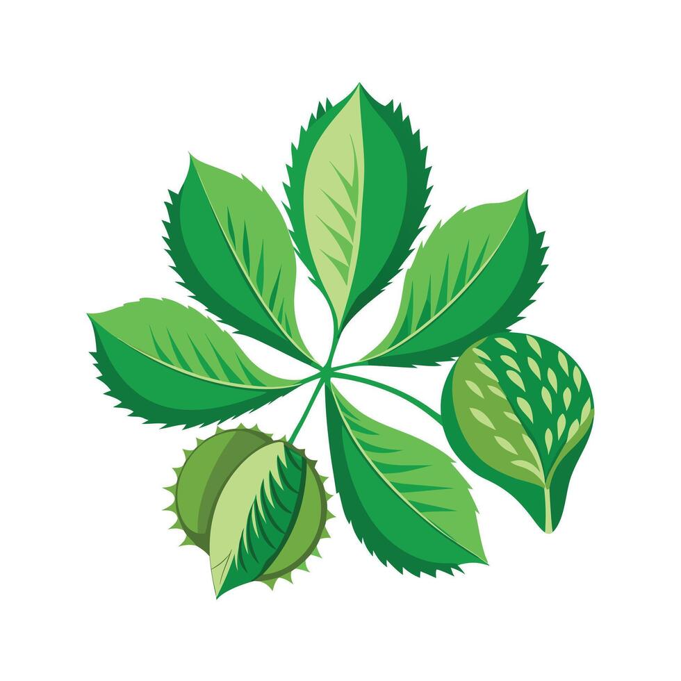 Realistic Beautiful Leaves Illustration vector