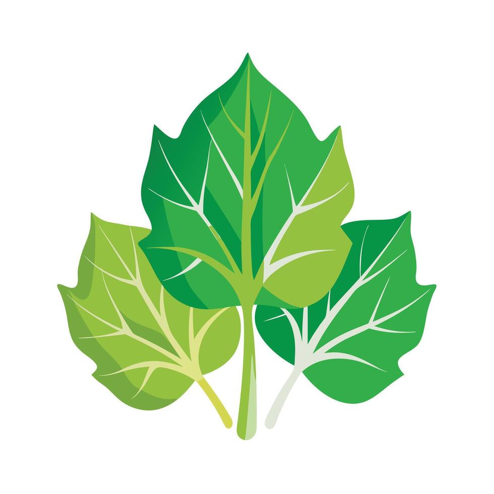Realistic Beautiful Leaves Illustration vector