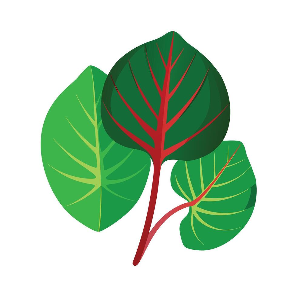 Realistic Beautiful Leaves Illustration vector
