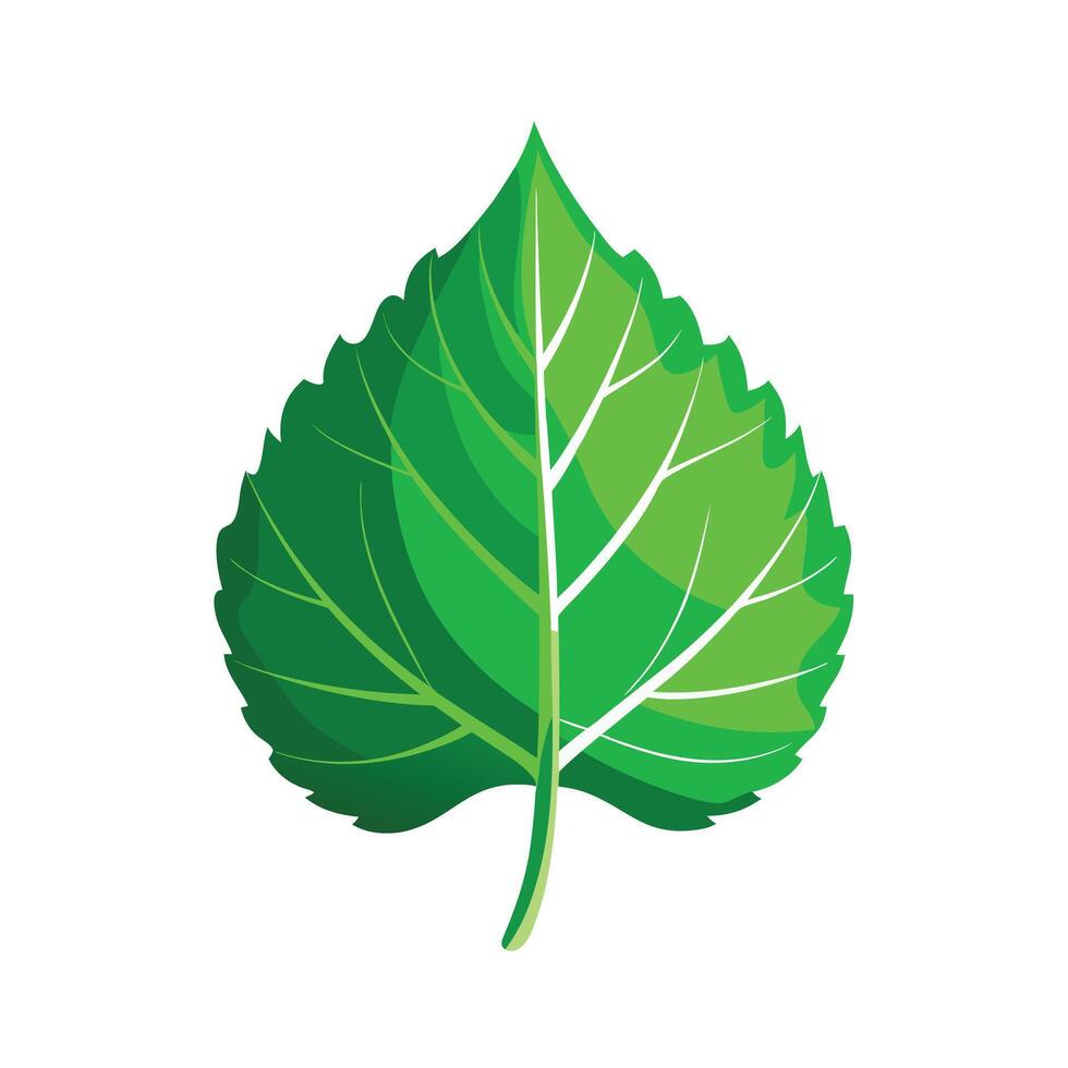 Realistic Beautiful Leaves Illustration vector