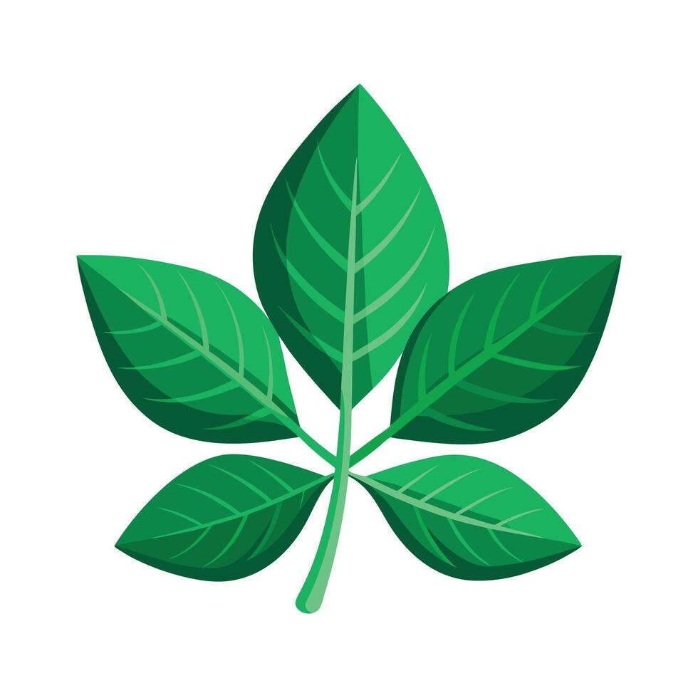 Realistic Beautiful Leaves Illustration vector