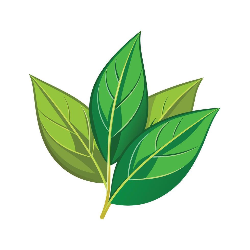 Realistic Beautiful Leaves Illustration vector