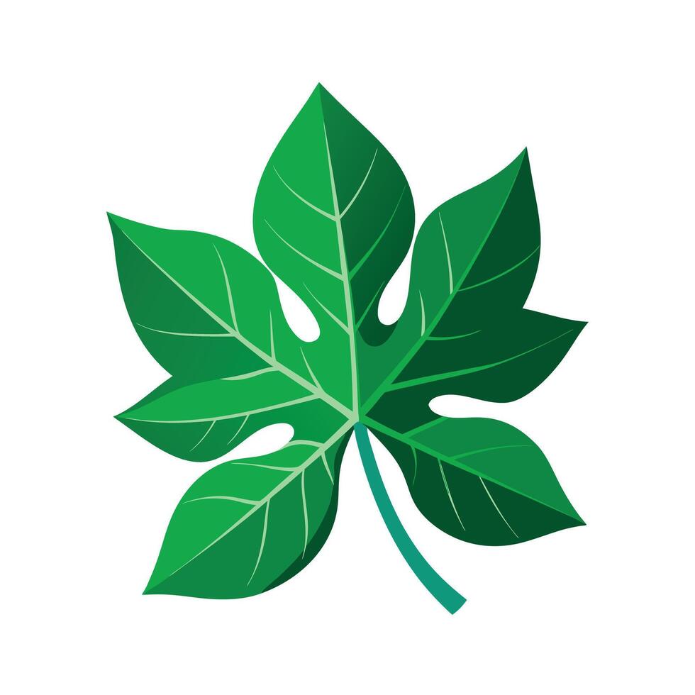 Realistic Beautiful Leaves Illustration vector