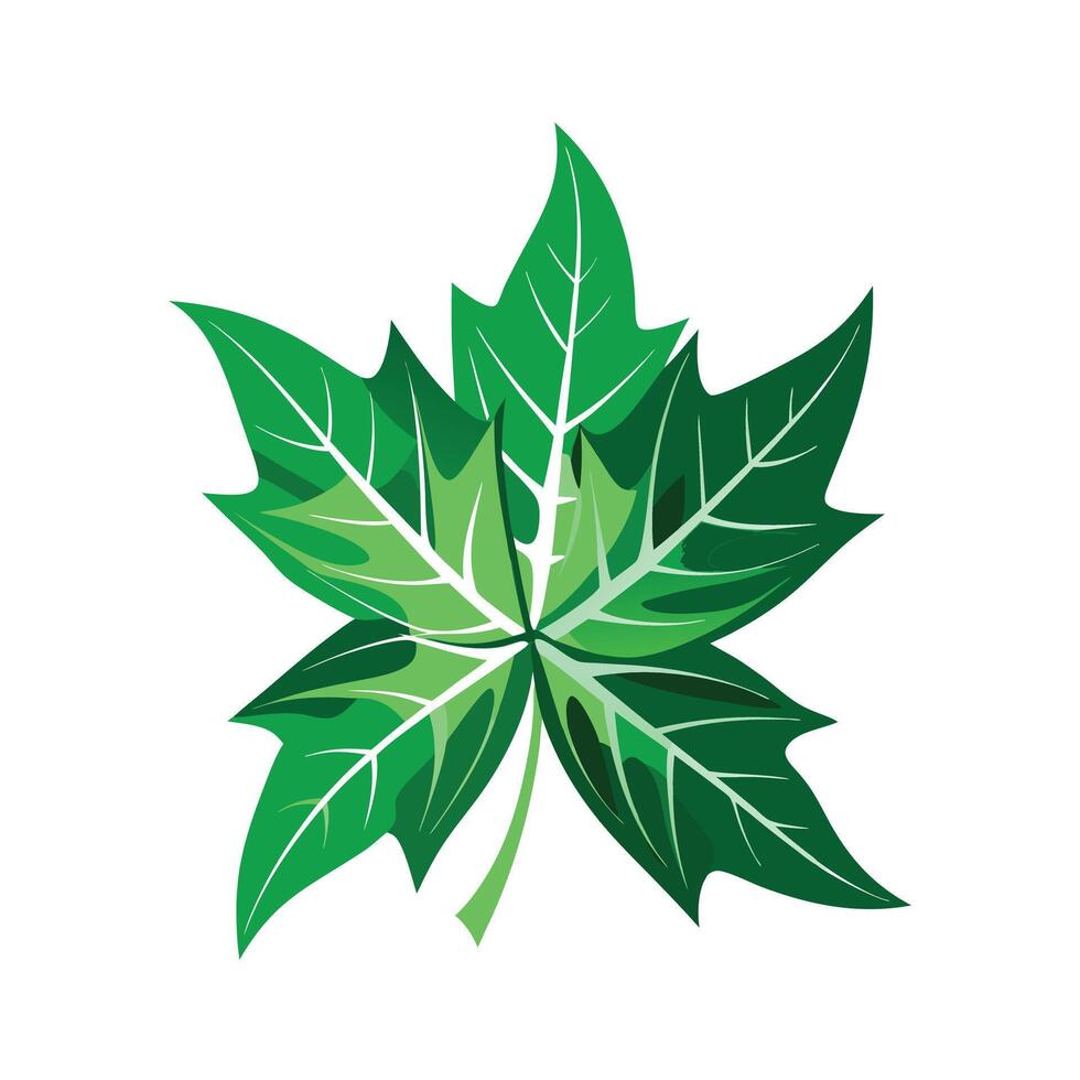 Realistic Beautiful Leaves Illustration vector