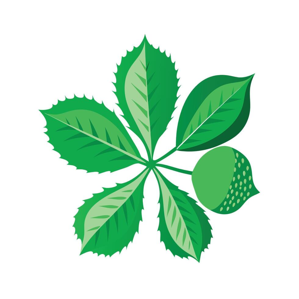 Realistic Beautiful Leaves Illustration vector