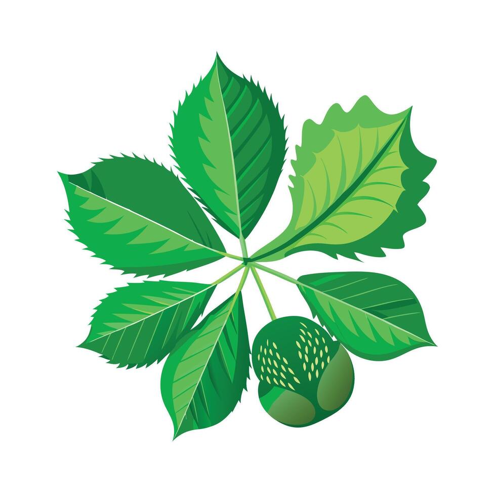 Realistic Beautiful Leaves Illustration vector