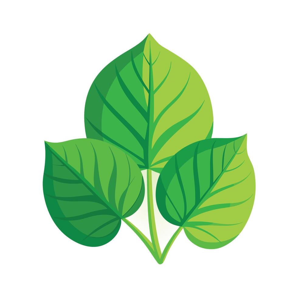 Realistic Beautiful Leaves Illustration vector