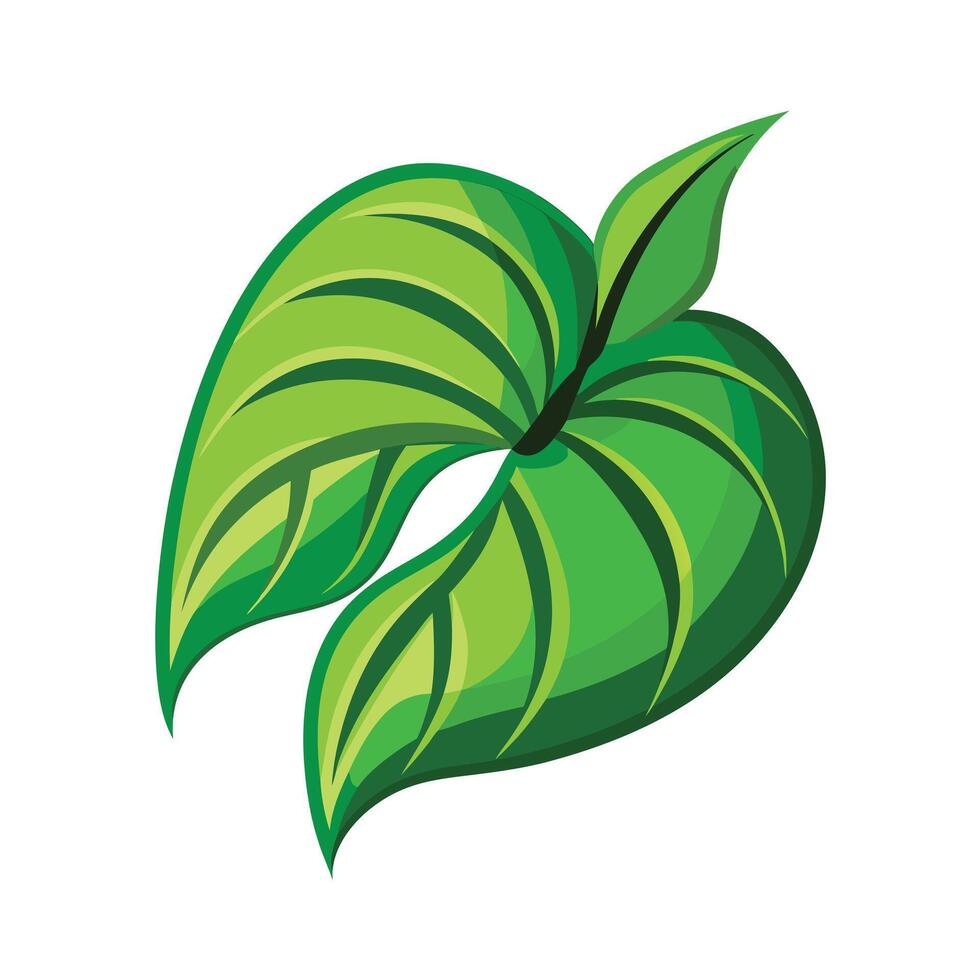 Realistic Beautiful Leaves Illustration vector