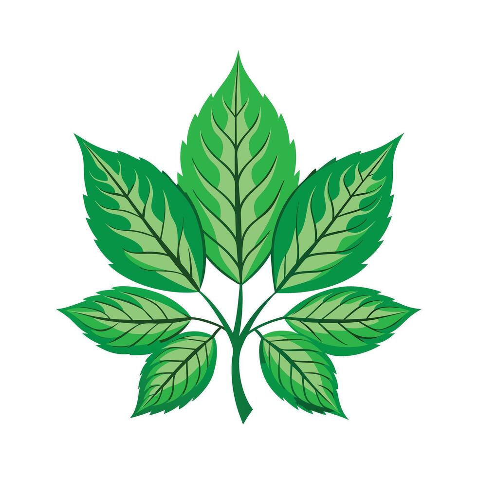 Realistic Beautiful Leaves Illustration vector
