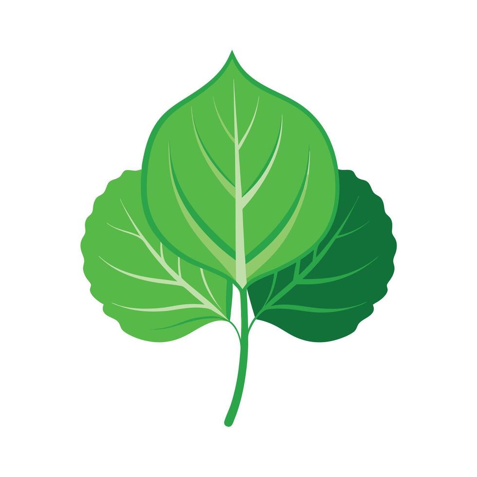 Realistic Beautiful Leaves Illustration vector