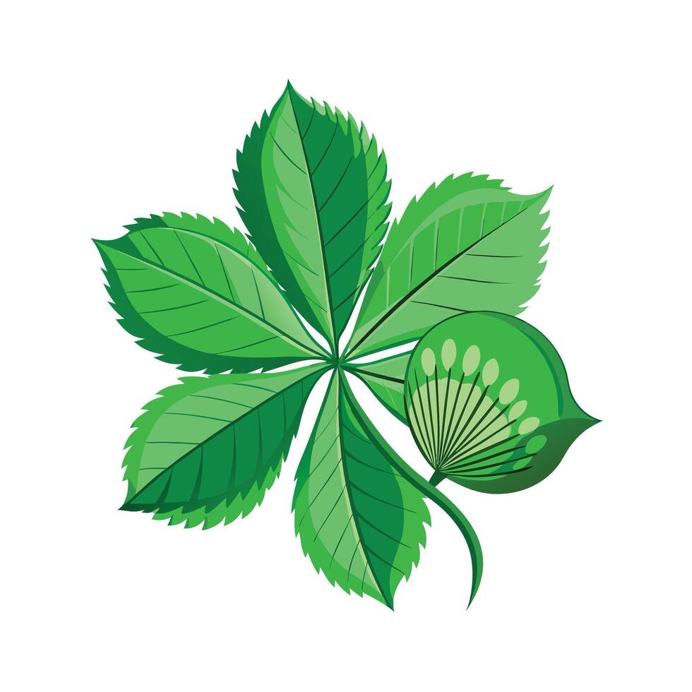 Realistic Beautiful Leaves Illustration vector
