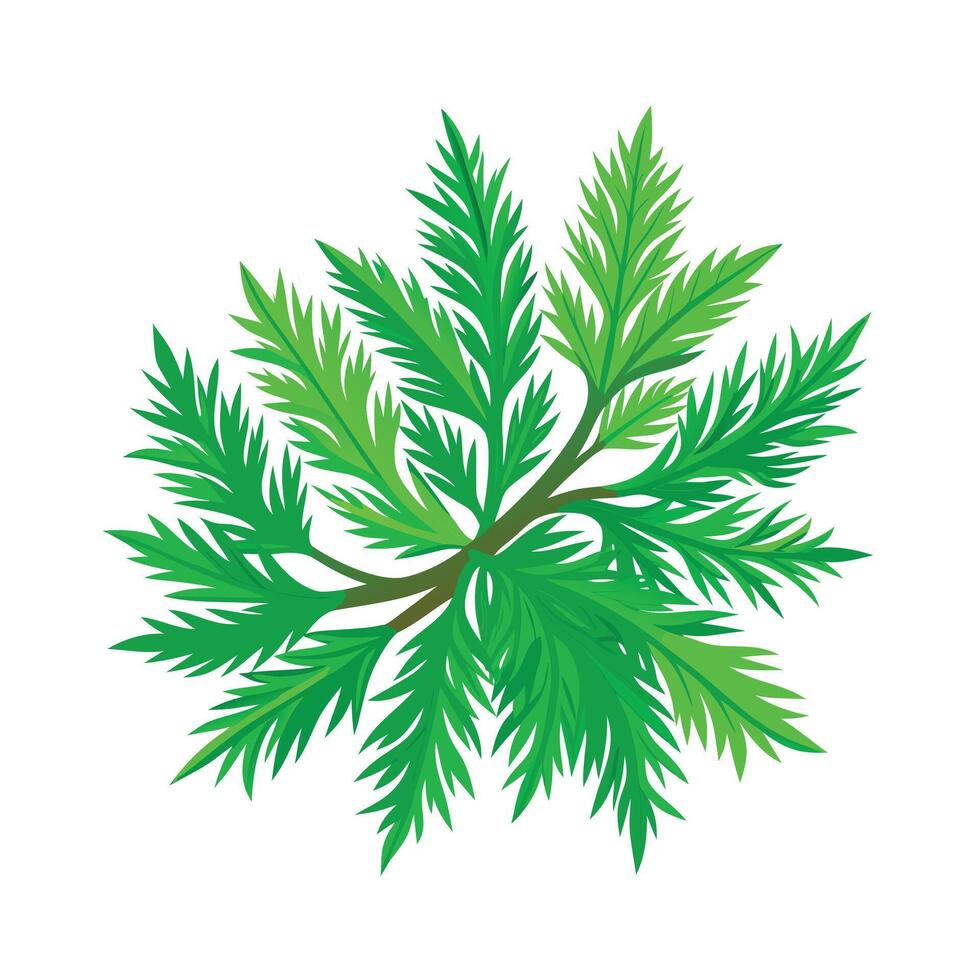 Realistic Beautiful Leaves Illustration vector