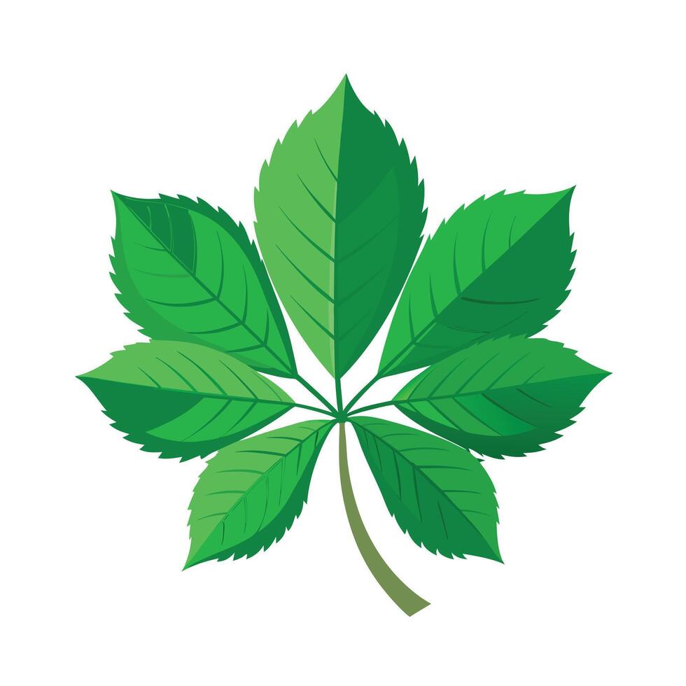 Realistic Beautiful Leaves Illustration vector