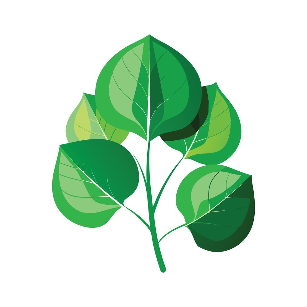 Realistic Beautiful Leaves Illustration vector