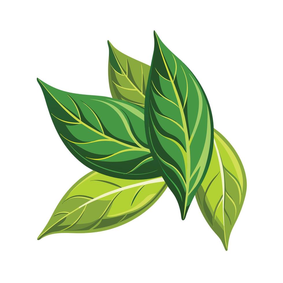 Realistic Beautiful Leaves Illustration vector