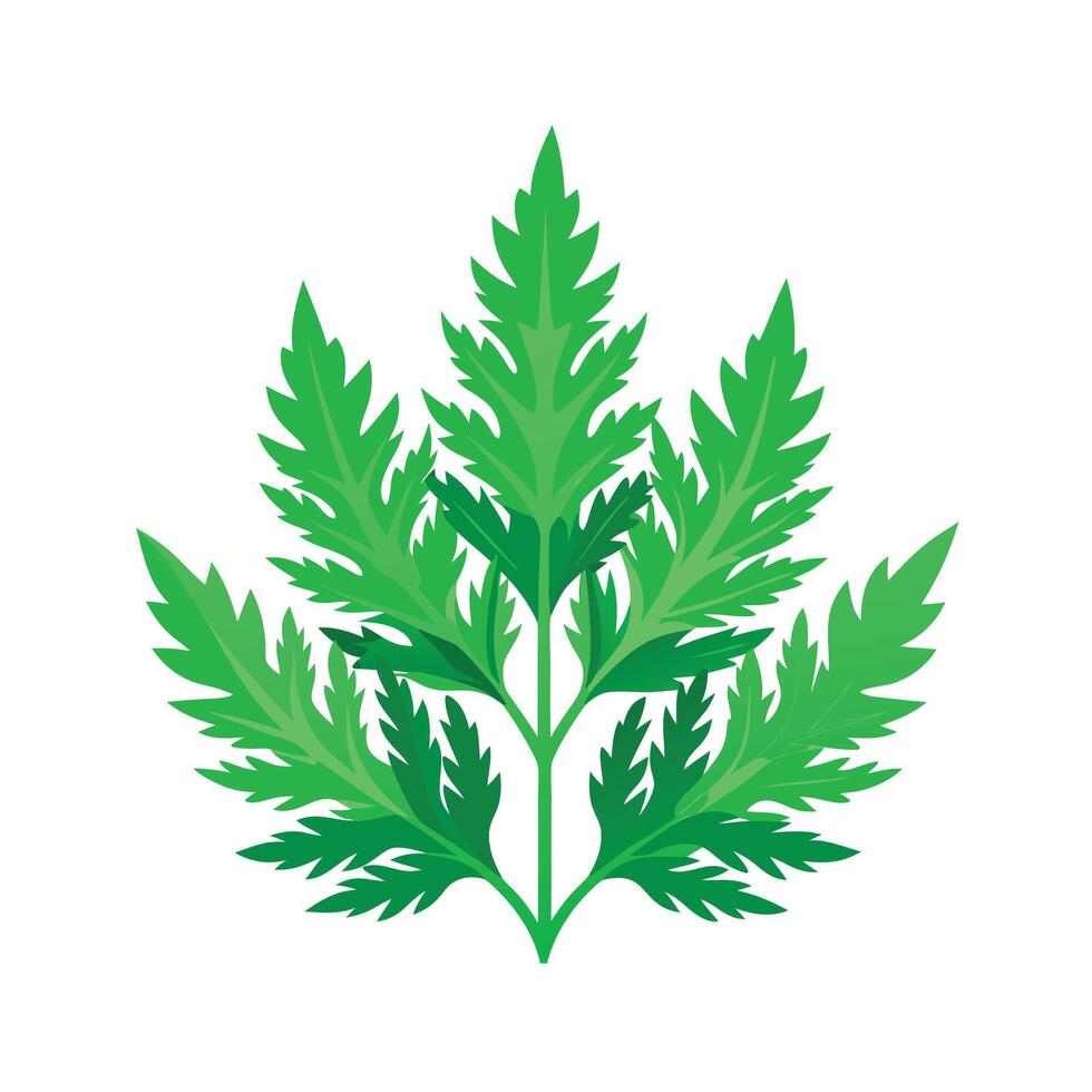 Realistic Beautiful Leaves Illustration vector