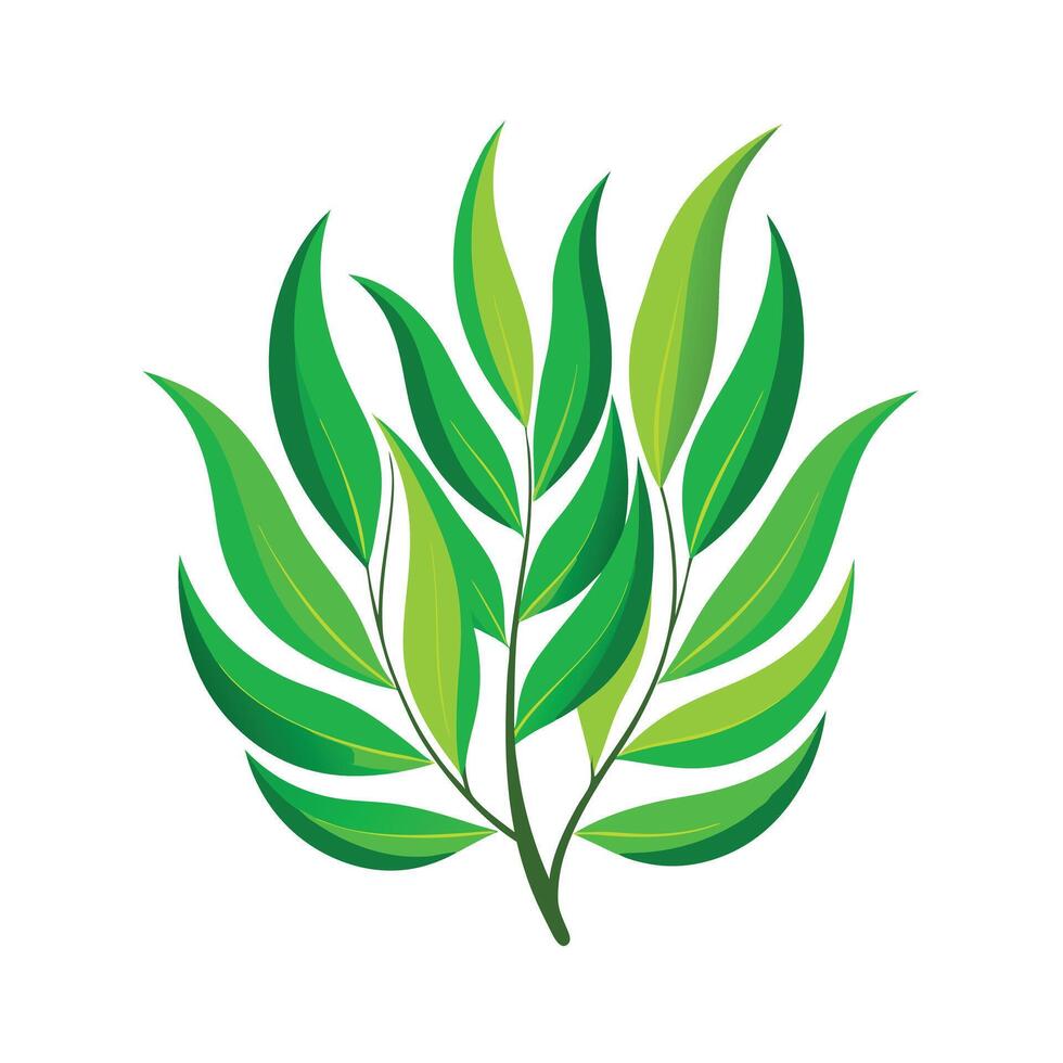 Realistic Beautiful Leaves Illustration vector