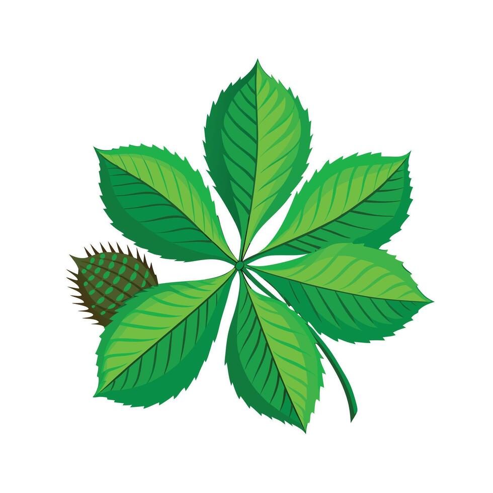 Realistic Beautiful Leaves Illustration vector