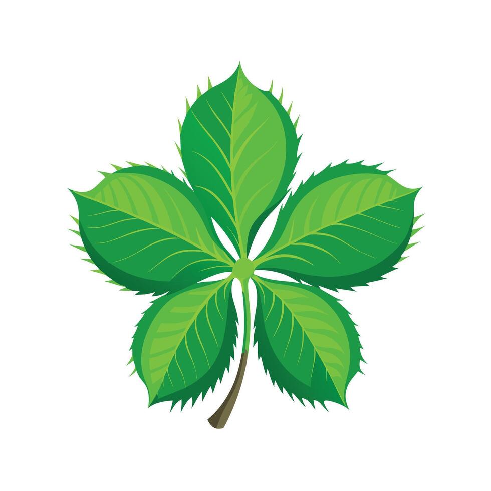 Realistic Beautiful Leaves Illustration vector