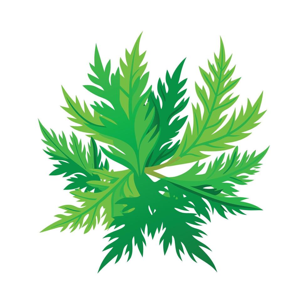 Realistic Beautiful Leaves Illustration vector