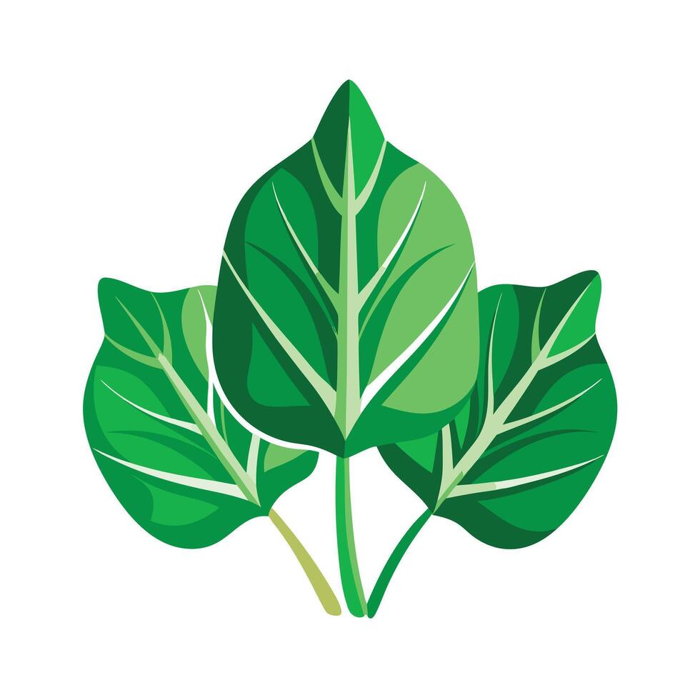 Realistic Beautiful Leaves Illustration vector