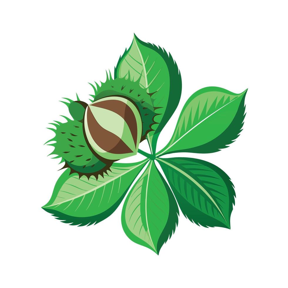 Realistic Beautiful Leaves Illustration vector
