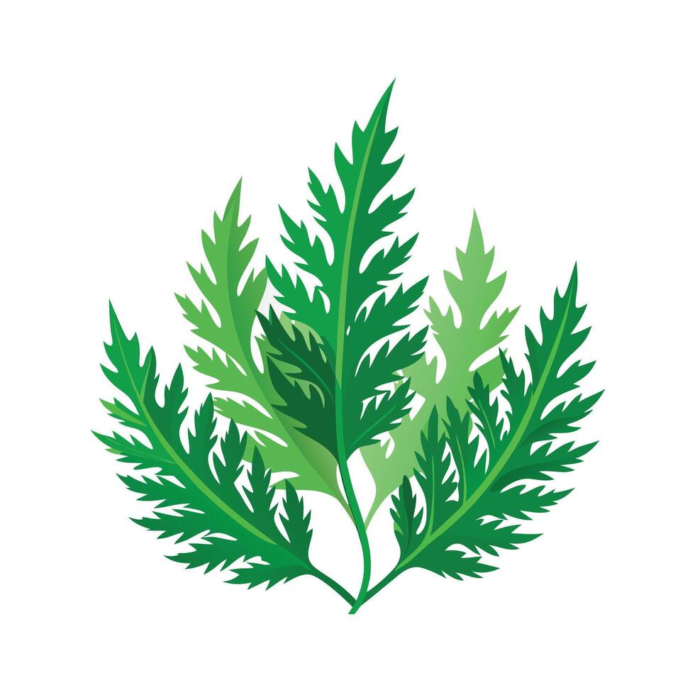Realistic Beautiful Leaves Illustration vector
