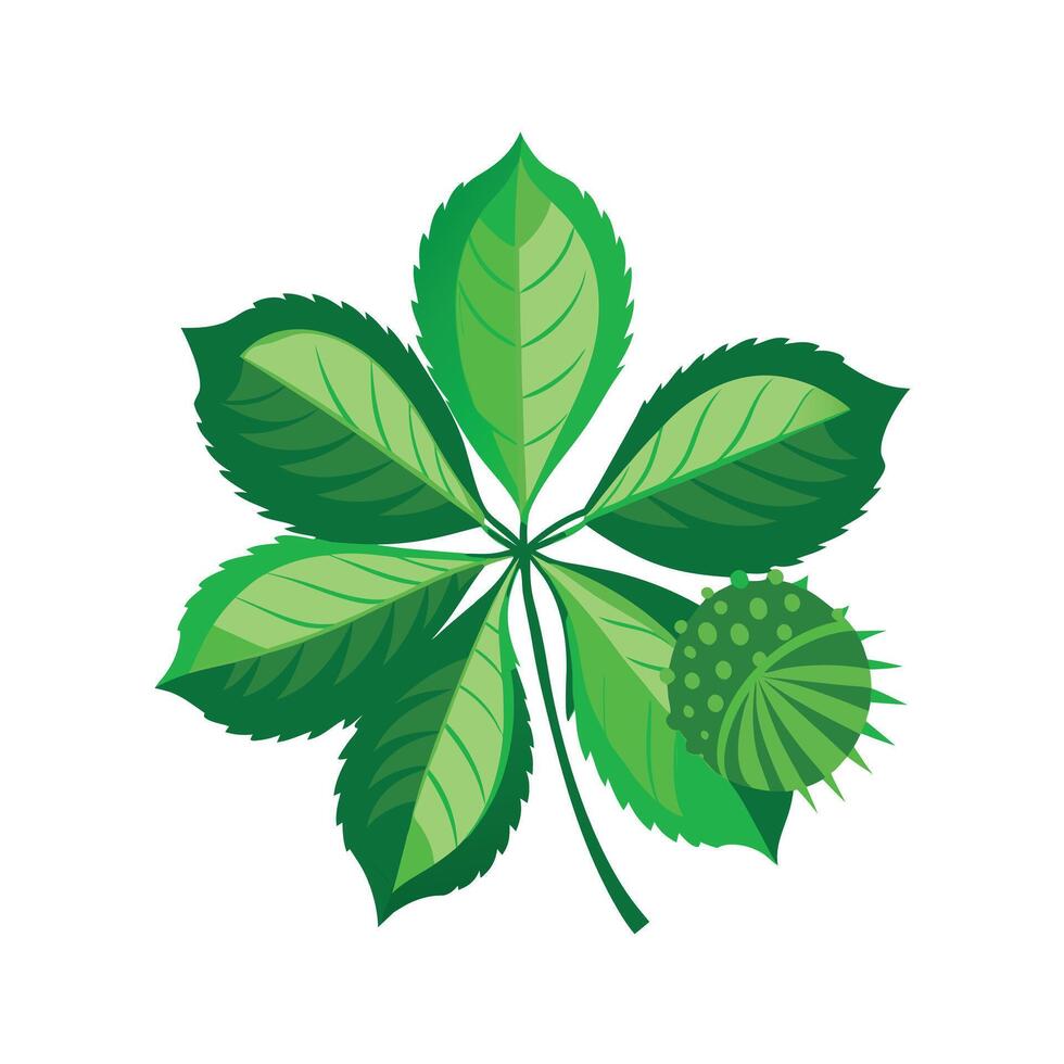 Realistic Beautiful Leaves Illustration vector