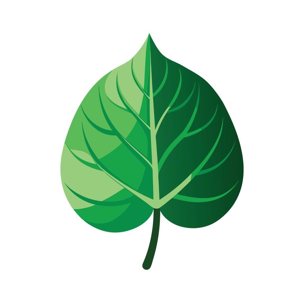 Realistic Beautiful Leaves Illustration vector