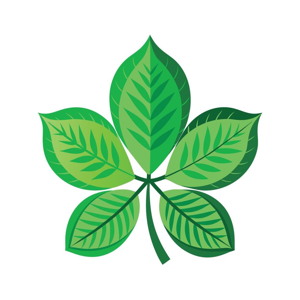 Realistic Beautiful Leaves Illustration vector