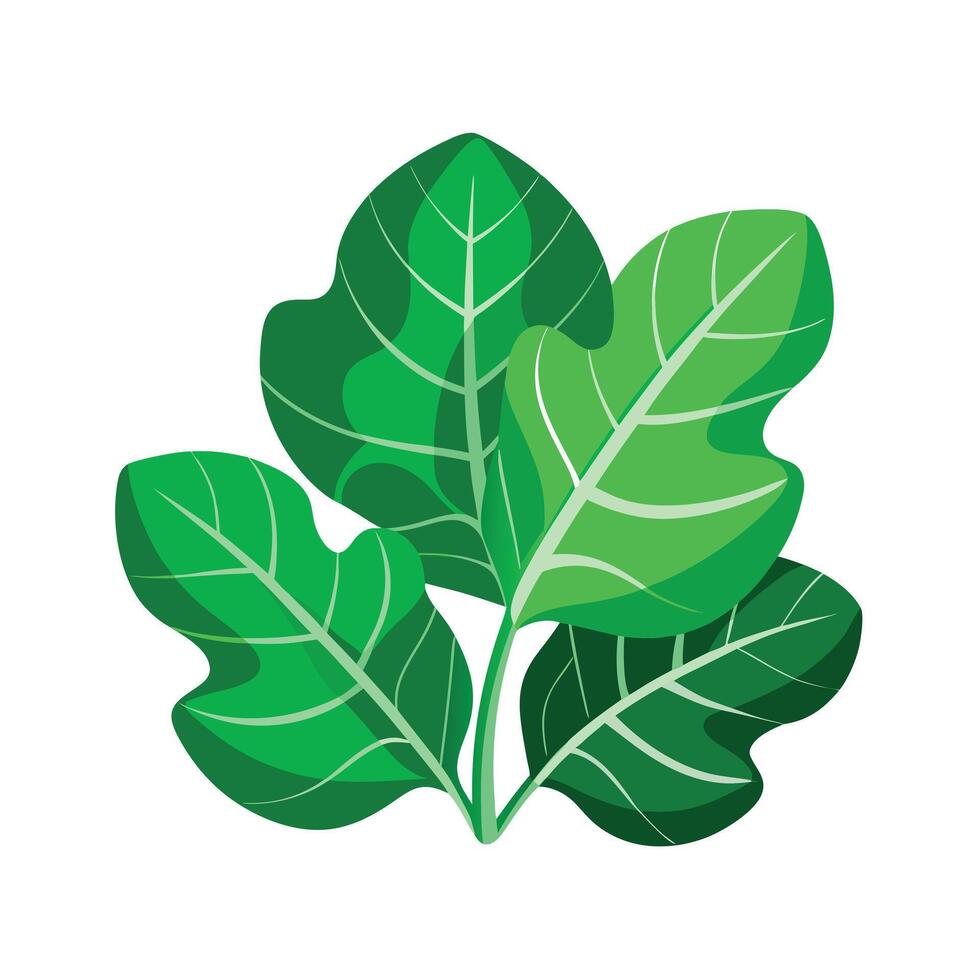 Realistic Beautiful Leaves Illustration vector