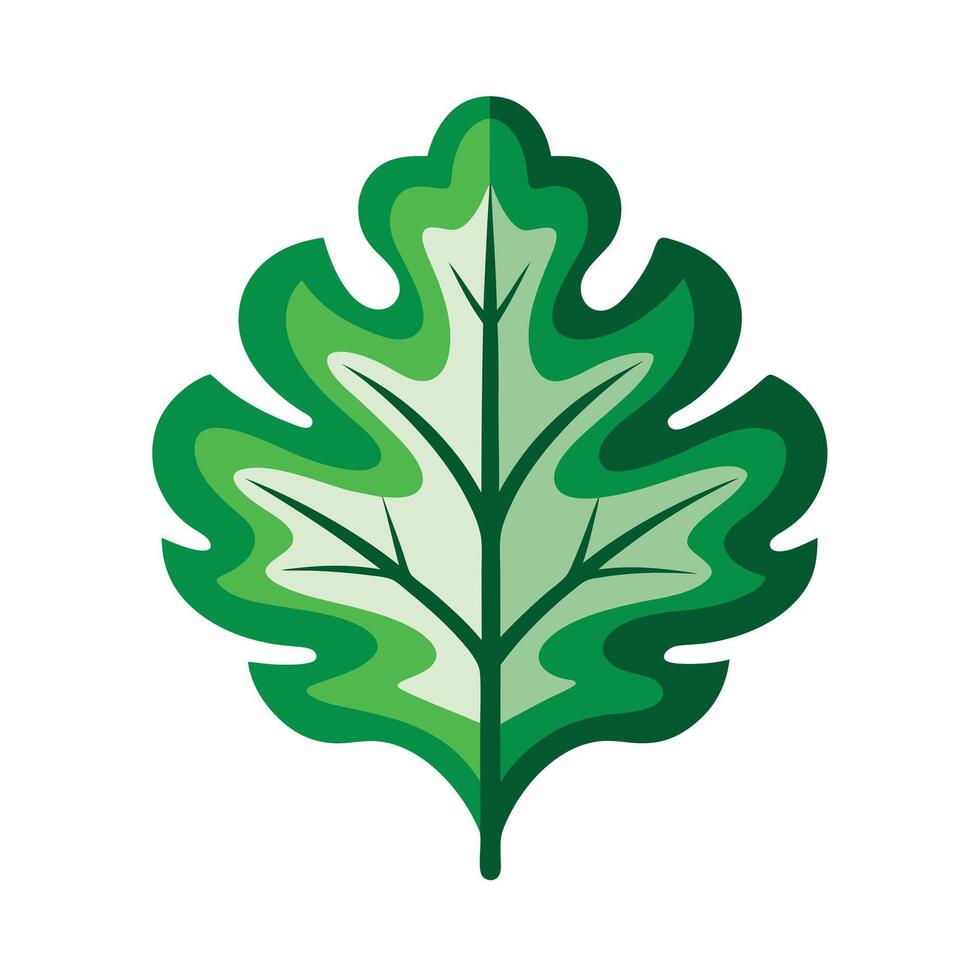 Realistic Beautiful Leaves Illustration vector